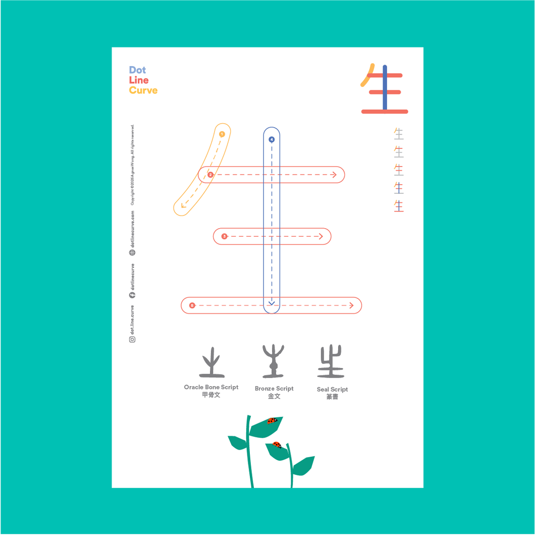Dot Line Curve - Traditional Chinese Writing For Little Learners