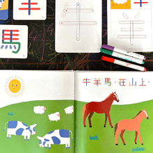 Load image into Gallery viewer, Chinese character learning book with write and wipe writing cards and flash cards for children
