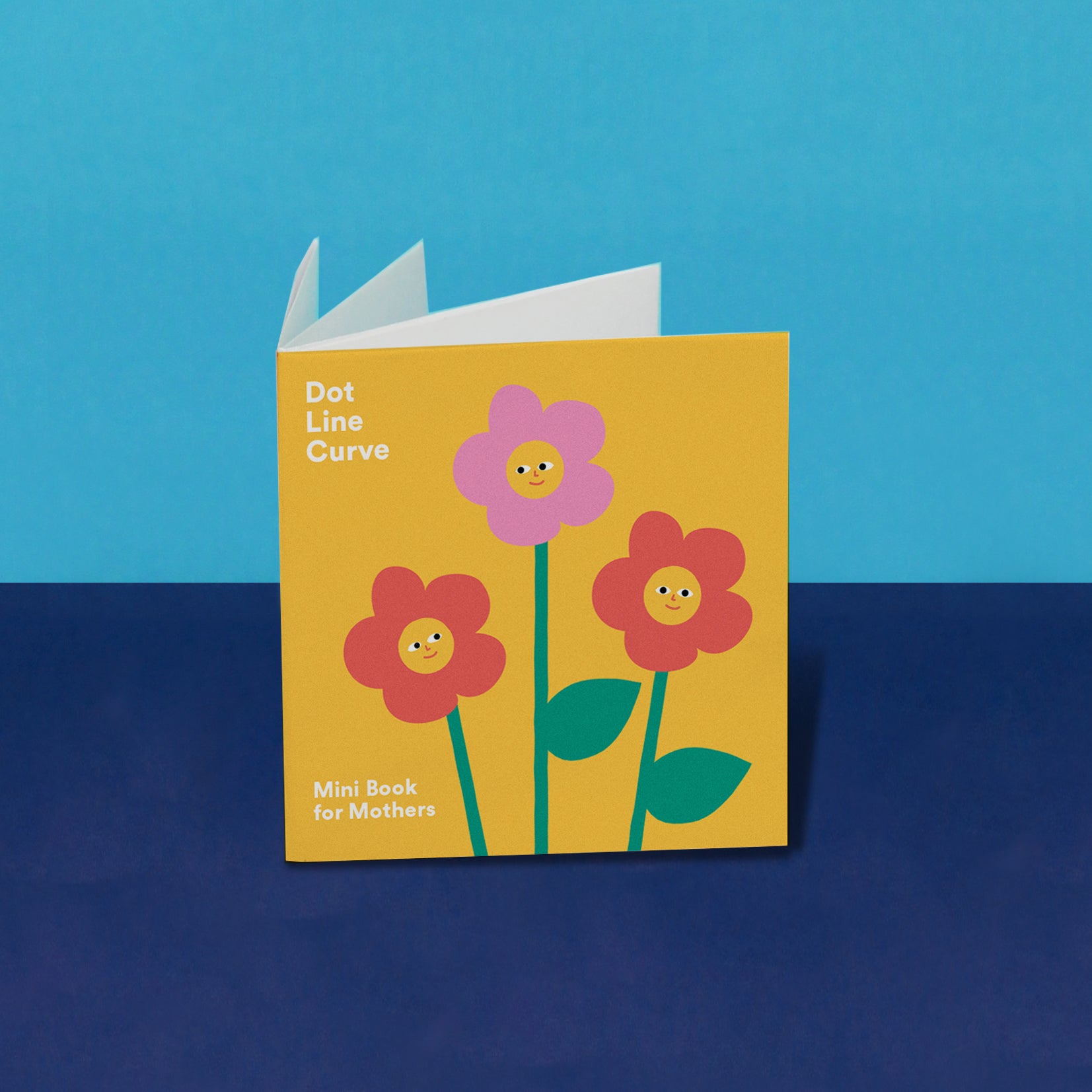 The Mini Book for Mothers